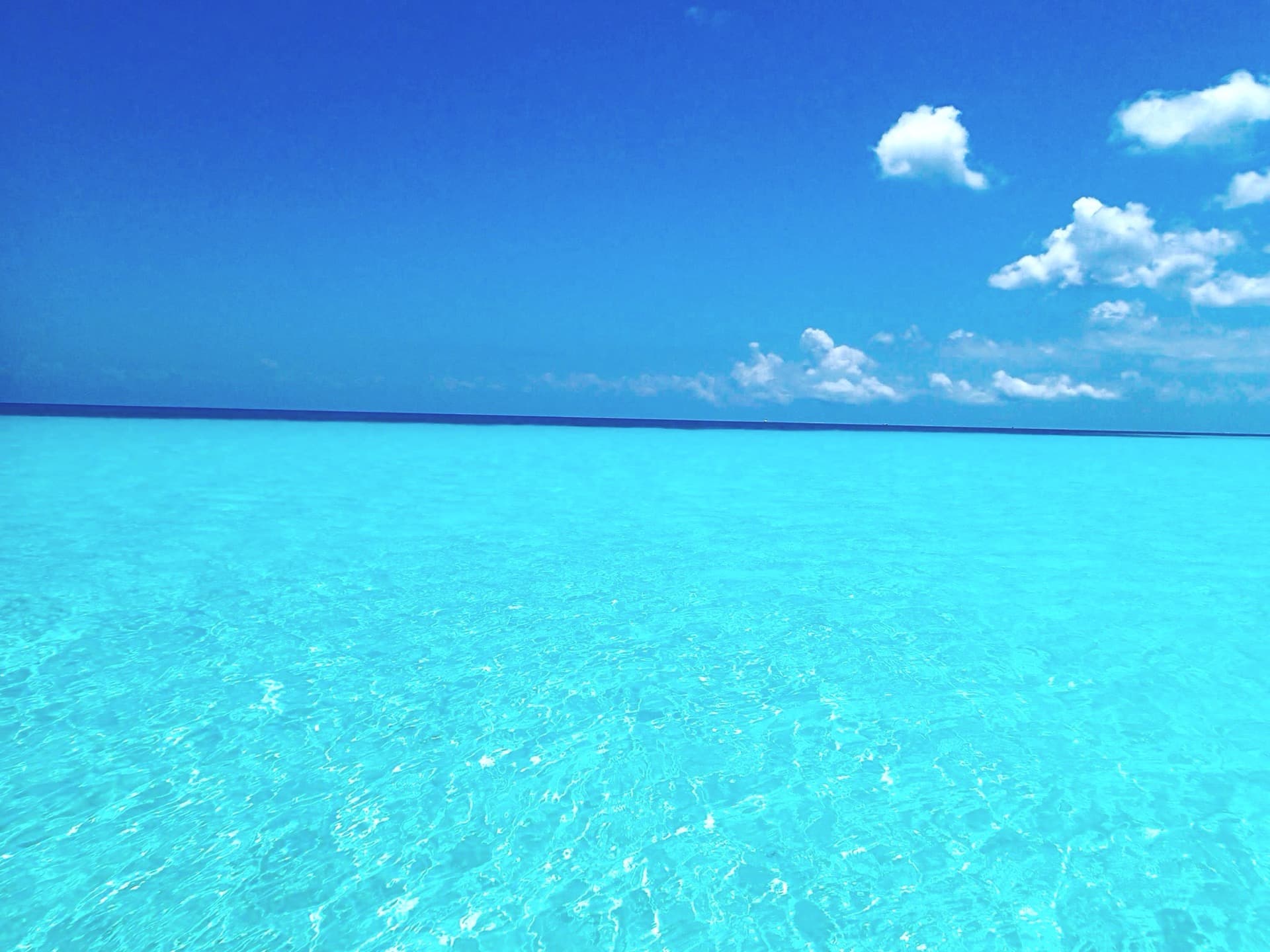 Ibogaine articles and research. MindScape Retreat